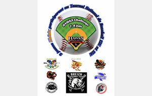 Hawks Challenge 12u-15u