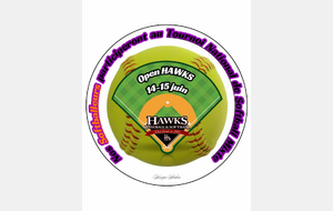 Open Hawks Softball