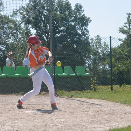Open Hawks 2026